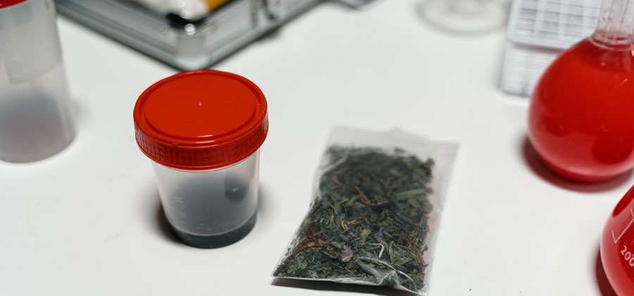The Business of Medical Cannabis: Opportunities and Challenges in the Industry 